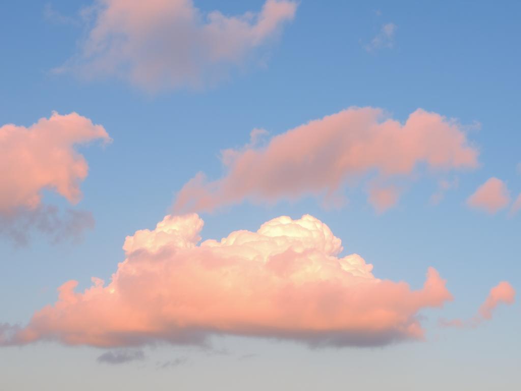Cups Pink